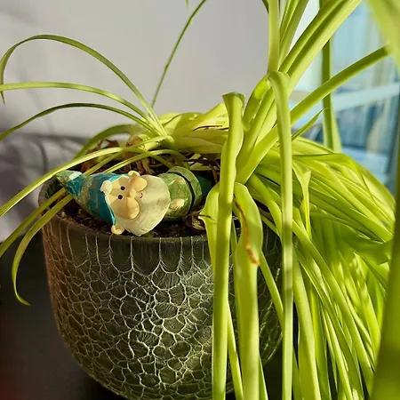 Keschtaloft - Classe 4 Etoiles Vakantiehuis