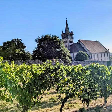 Vakantiehuis Keschtaloft - Classe 4 Etoiles Châtenois